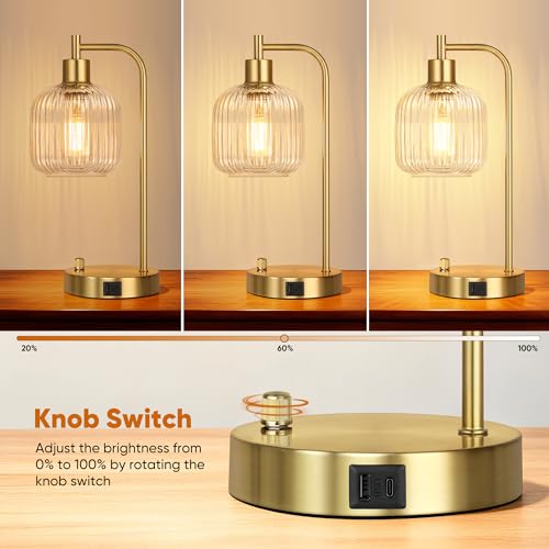 Clear Glass Table Lamps Set of 2, Dimmable Bedside Lamps for Living Room - color: Gold&Clear