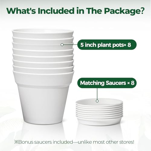 T4U Small Plant Pots 5 Inch 8 Pack, Plastic Indoor Flower Pots Saucer White - color: White, size: 5 inch