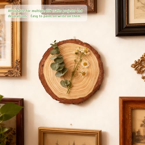 FSWCCK 10 Wood Slices 7-7.8in, Unfinished Slabs for Wedding DIY - size: 10 Pcs 7"-7.8"