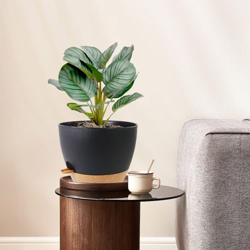 WSMKSZ 10 inch Self Watering Pots, 2 Pack Plastic Planters with Mesh Drainage Holes for Garden Plants and Flower, Plants Pots with Deep Reservoir for Indoor Outdoor Plants, Black with Brown - color: Black With Brown, size: 10inch 2pcs
