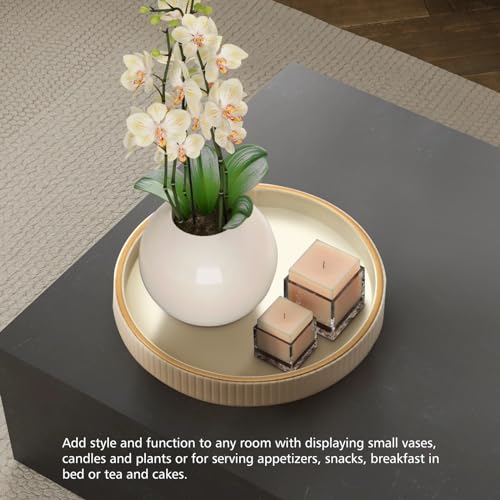 SANZIE Leather Tray Desktop Storage Organizer, Round Valet Tray, White - color: White Disc
