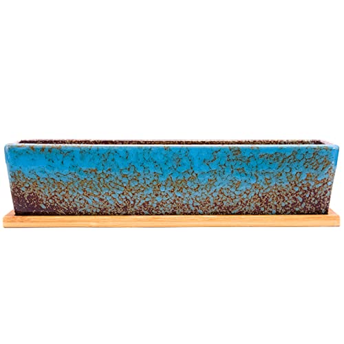 Succulent Pots - 12.1 Inch Large Succulent Planters Pots with Drainage Tray - color: Blue