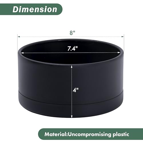 D'vine Dev 8 in Shallow Round Succulent Planter, Black, 76-Z-B-1 - color: Black, size: 8 Inch