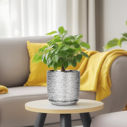 Ceramic Plant Pot 5 Inch, Indoor Planter with Drainage, Silver - color: Silver, size: 5.3 Inch