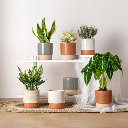 6 Inch Ceramic Self Watering Planter with Drainage Hole, Dark Grey - color: Darkgrey, size: Small