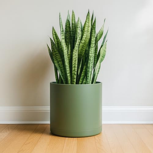 D'vine Dev Plastic Planter Pot with Saucer, 14 in, Olive, 74-X-I-4 - color: Olive, size: 14"