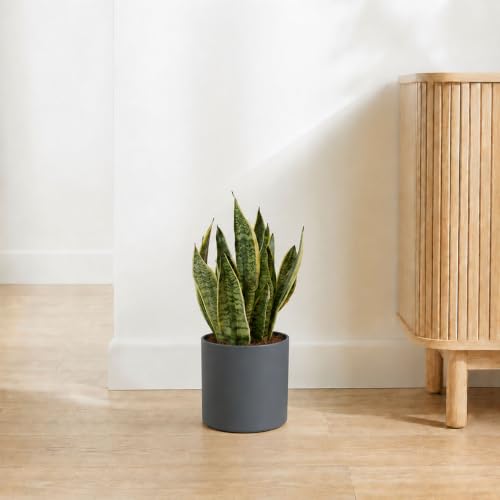 7 Inch Grey Metal Plant Pot with Drainage Hole, Indoor Outdoor - color: Gray