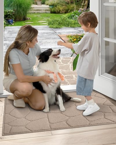 DEXI Front Door Mat Indoor Entrance, 24x36 Entryway Doormat, Pebble Beige - color: Pebble Beige, size: 24" X 36" (Rectangular)