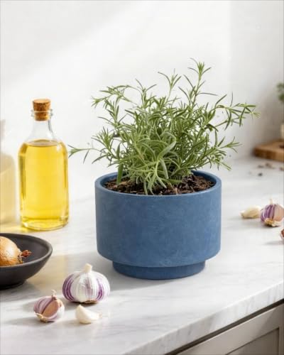 Succulent Pots, 8"+6" Plant Pots, Ceramic Planters for Indoor Plants - color: Blue