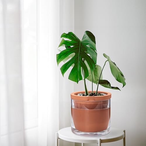 D'vine Dev Self Watering Terracotta Planter Pot, 8 in, 37-X-C-1 - color: Terracotta, size: 8 Inch