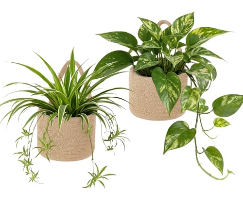 Dahey 2 Pcs Woven Wall Baskets with Plastic Wall Planters for Indoor Plants