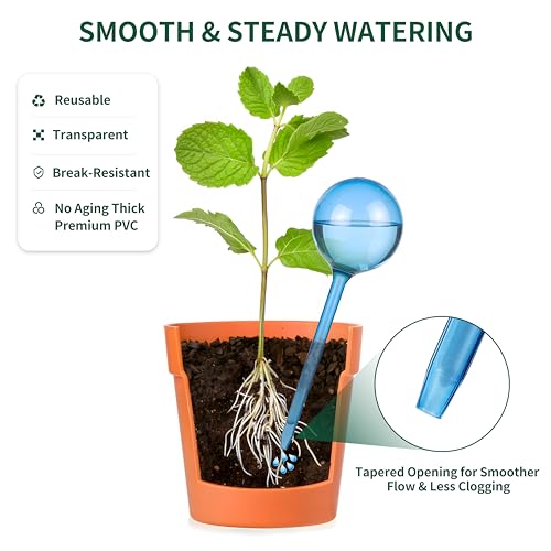 6-Pack Small Plastic Plant Watering Globes, Self Watering Spikes - size: S - 6 Pack