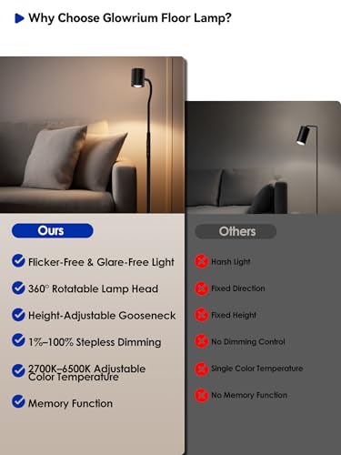 GLOWRIUM LED Reading Floor Lamp, 62" Floor Task Lamp, Adjustbale Floor Lamp - style: Reading Lamp (H2B)