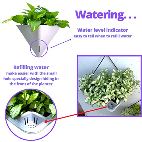 LaLaGreen Wall Planters for Indoor Plants (12in, 2 Pack) White Planter - color: White X 2 Pack