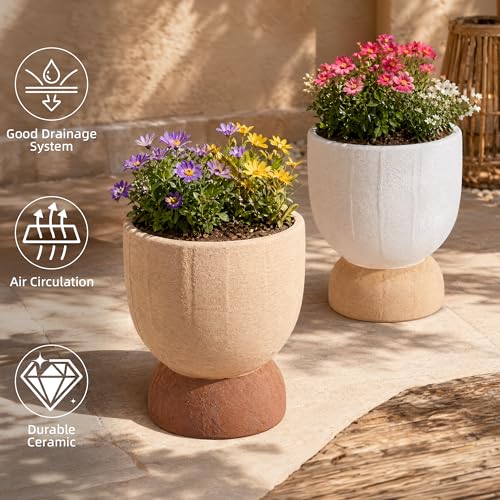 DREAMLOOM 6.4Inch Coarse-Grained Terracotta Pots for Succulents, 2Pcs Flower Planters with Drainage Holes, Bonsai, Cactus Aloe, Herbs, Orchid, Rustic Color - color: Two-tone