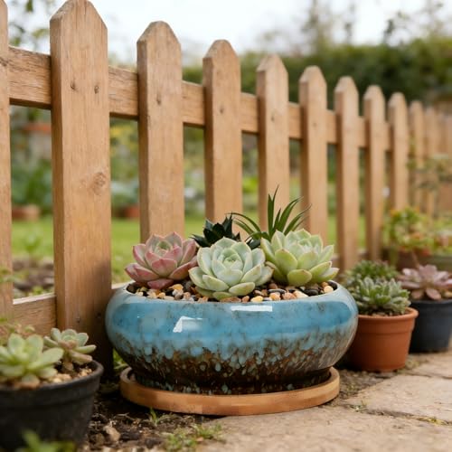 Succulent Pots, 7.3 Inch, Round Large Shallow Flower Plant Pots