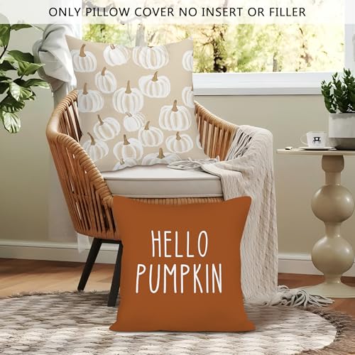 Fall White Pumpkin Throw Pillow Covers 18x18 Set of 2, Autumn Rust Burnt Orange Decor Decorative Pillow Cover Cases, Neutral Pumpkin Hello Fall Decor Cushion Cover Pillowcases for Bedroom - color: Orange