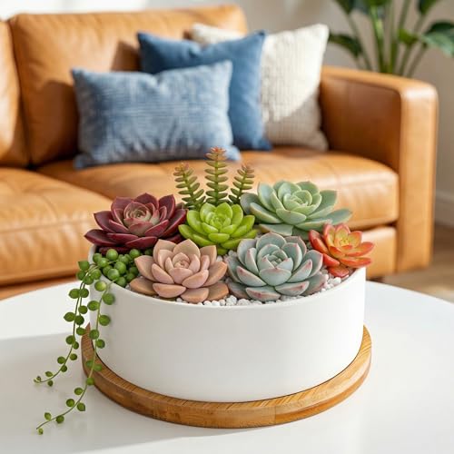 White Ceramic Succulent Plant Pots, Set of 2 Round Planter Small Cactus Container, Bonsai Pots, Succulent Pots with Drainage Hole& Bamboo Tray (No Plant) - color: Round*2