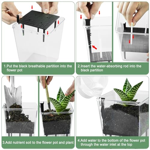 Self Watering Pots Set, Clear Self Planter Pot for Indoor Plants - size: Large, Medium, Small