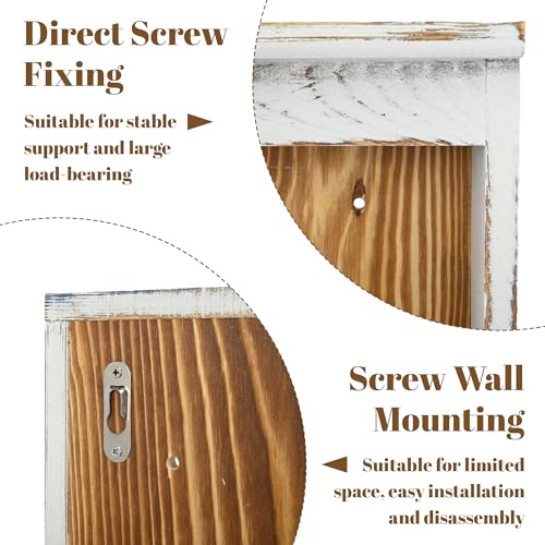 Nisorpa 3 Tier Spice Rack Wall Mount, 19.68 x 3.35 x 21.25 Inches - color: Pine