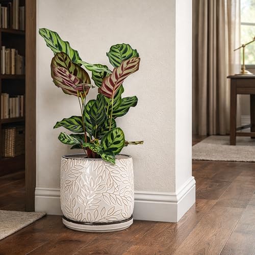 D'vine Dev Embossed Leaves Ceramic Planter, 8 in, Smoked White, 27-A-Q-1 - color: Smoked White, size: 8 Inch