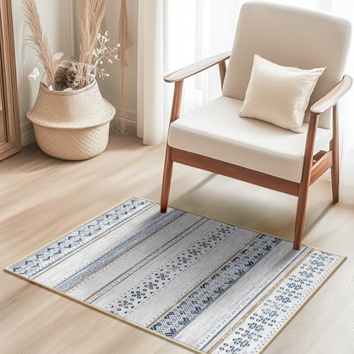 2x3 Washable Area Rugs for Living Room Boho Bathroom Rug Blue/Brown - color: Blue/Brown, size: 2' x 3' (Rectangular)
