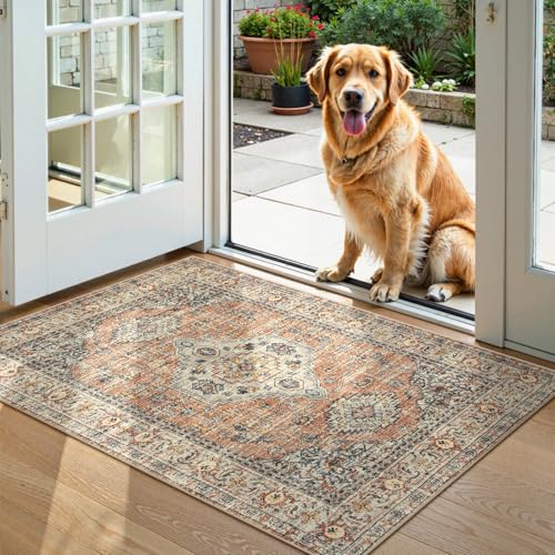 Lahome Oriental Door Mat Indoor Entrance, 2x3 Washable Rugs for Entryway - color: Terracotta, size: 2' x 3' (Rectangular)