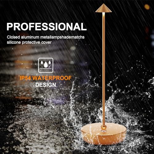 Rechargeable Cordless Table Lamp, Portable Powered LED Battery 6000mAh Metal USB Desk Lamp, 3 Levels Brightness Light for Restaurants Outdoor (Gold) - color: Gold