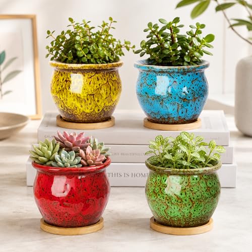ARTKETTY Succulent Pots, 4.5'' Small Plant Pots with Drainage Tray - color: 4.5'' Colorful 2