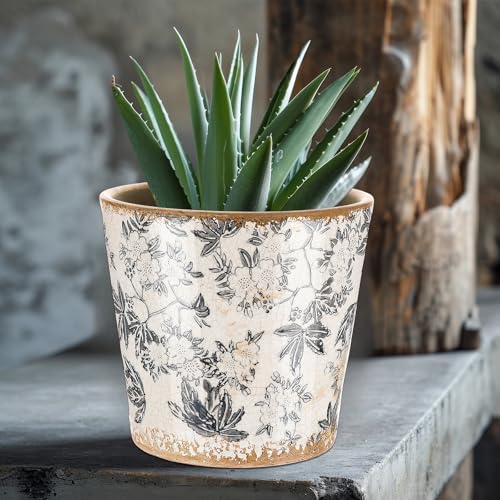 Beeveer Farmhouse Ceramic Planter 5.5 Inch Large Plants Pot Crack Beige Gray Flowers Plant Pots with Drainage Hole Indoor Plants Kitchen Rustic Antique Decor Gift - color: Black & Beige, size: 5.5 Inch