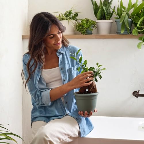 Bloem Ariana 6" Plastic Self-Watering Planter, Basil, 4-Pack - color: Basil, size: 6" (Pack of 4)