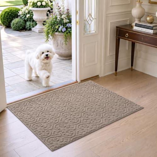 DEXI Front Door Mat Indoor Entrance, 32x48 Entryway Doormat, Beige - color: Beige, size: 32" X 48" (Rectangular)