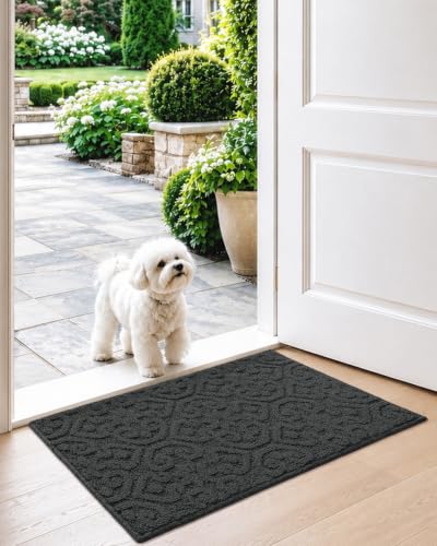 DEXI Front Door Mat Indoor Entrance, 17x30 Entryway Doormat, Dark Grey - color: Dark Grey, size: 17" X 30" (Rectangular)