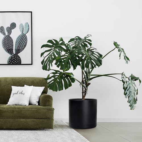D'vine Dev Plastic Planter Pot with Saucer, 16 in, Black, 74-X-B-5 - color: Matte Black, size: 16"