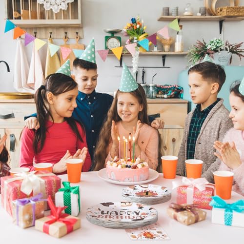 Grencian 96 Pcs S'Mores Camping Birthday Party Decorations,Serves 24 - style: Camping 1st Kit