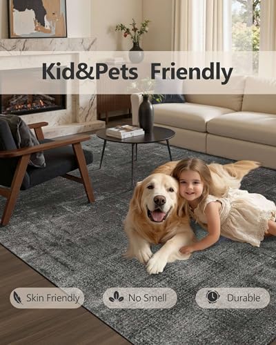 Washable 5x7 Area Rugs for Living Room Modern Abstract Rug, Black - color: Ink, size: 5' x 7' (Rectangular)