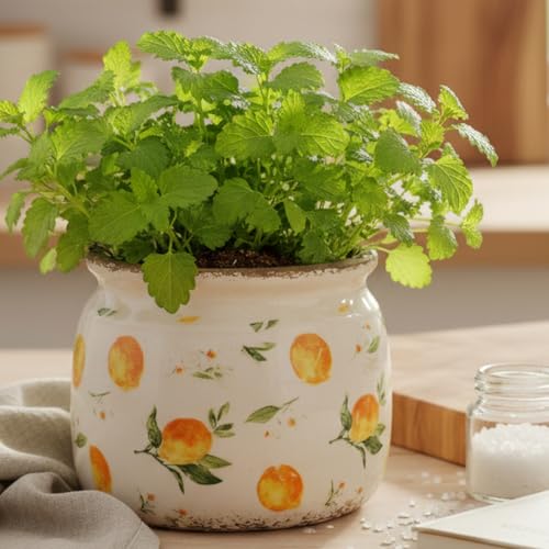 Lemon Ceramic Planter, Italian Mediterranean Flower Pot for Indoor Plants - color: Lemon, size: 6.3 in
