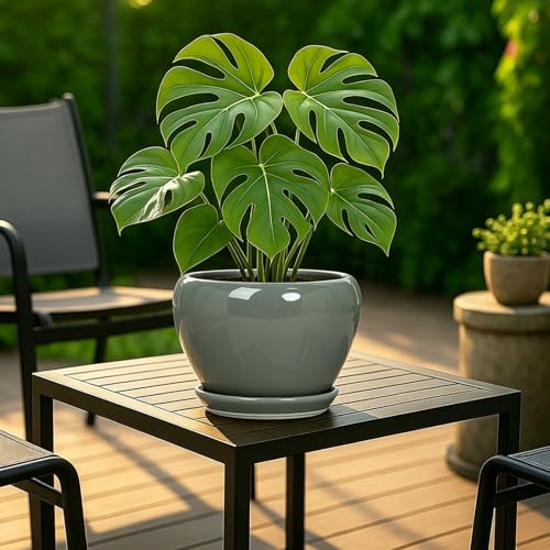 Deep Dream 8 Inch Plant Pots- Ceramic Pots for Plants with Drainage Hole and Saucer, Large Planter Pot for Indoor Plants Outdoor Decor, Grey - color: Gray, size: 8 Inch