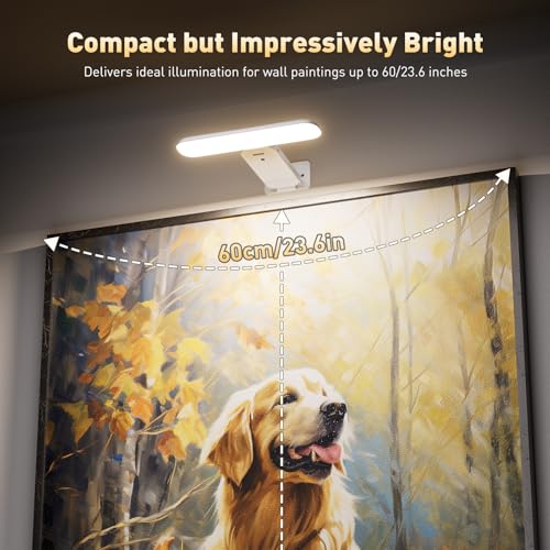 NARUNDREN Rechargeable Picture Lights for Wall with Remote-2PC(White) - color: White