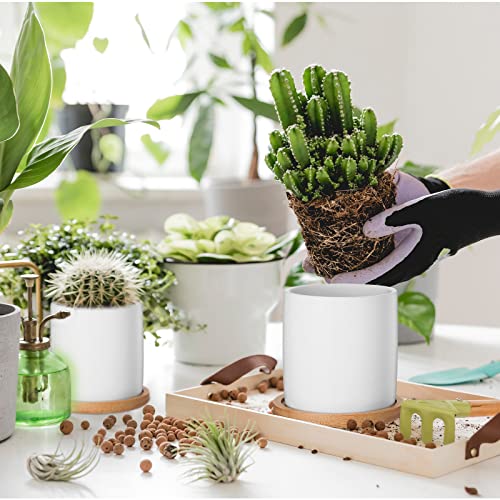 Cindeer 12 Pack Small Succulent Pots 3 Inch Plant Pots with Drainage,White - color: White