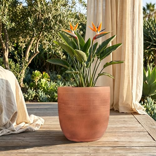 12 Inch Round Terracotta Planter Pot, Distressed Terracotta Orange with Black Finish, Rustic Vintage Flower Pot with Drainage Hole, Lightweight Indoor Outdoor Planter for Patio Porch Garden Décor - color: Terracotta