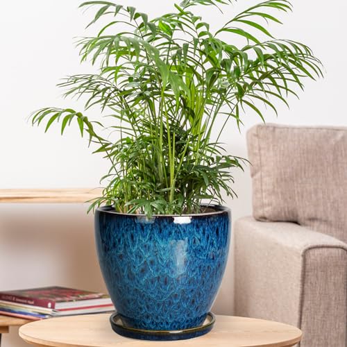8 Inch Ceramic Planter Pot with Drainage Hole and Saucer, Ceraimc Plant Pot Round Flower Pot for Indoor Plants Outdoor Garden Planter, Blue - color: Blue-glaze, size: 8 Inch