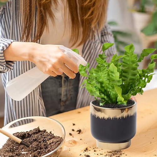 Black Gold Ceramic Succulent Plant Pots Floral Small Plant Pots Indoor Modern Round Decorative Indoor-Outdoor Garden Pots with Drainage Holes - Plants Not Included 4.33 x4.33 Inch - color: Black and Gold