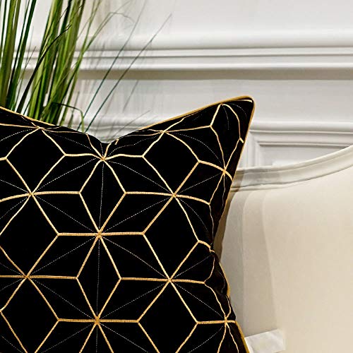 Avigers Throw Pillow Cover 20 x 20 Inch, Black Gold, Velvet, Hidden Zipper - color: Black, Gold, size: 20" x 20" (Pack of 1)