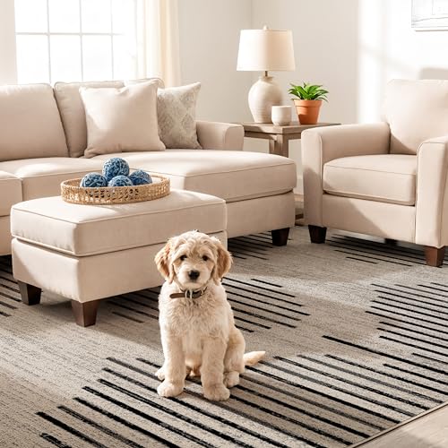 Rugshop Contemporary Abstract Area Rug for Living Room Cream 5' x 7' - size: 5' x 7' (Rectangular)