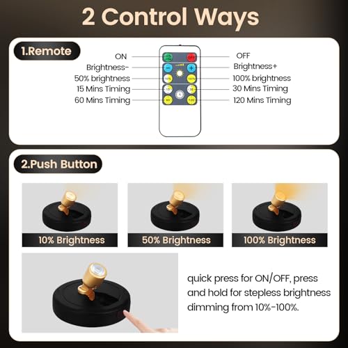 Rechargeable Spotlight, Battery Powered Picture Lights with Remote - color: chargeable Black+G