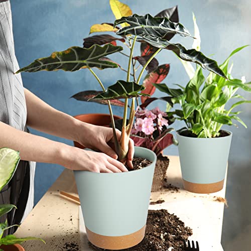GARDIFE Plant Pots 7/6.5/6/5.5/5 Inch Self Watering Planters with Drainage Hole, Plastic Flower Pots, Nursery Planting Pot for All House Plants, African Violet, Flowers, and Cactus,Green - color: 7-green, size: 7+6.5+6+5.5+5 inch