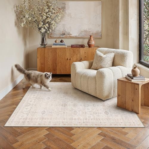 4x6 Apricot Area Rug Neutral Distressed Carpet - color: Accent | Beige Multi, size: 4' x 6' (Rectangular)