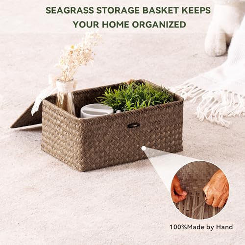 Nonam Wicker Storage Basket with Lid,Seagrass Shelf Basket Set of 2,Coffee - color: Coffee-S+M