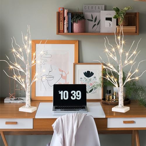 Vanthylit White Birch Tree with LED Lights - Set of 2, Tabletop Tree with Timer, Christmas Decorations Lighted Tree for Indoor Mantel Home Decor (2 FT, 24 LED) - size: 2pk Birch Tree